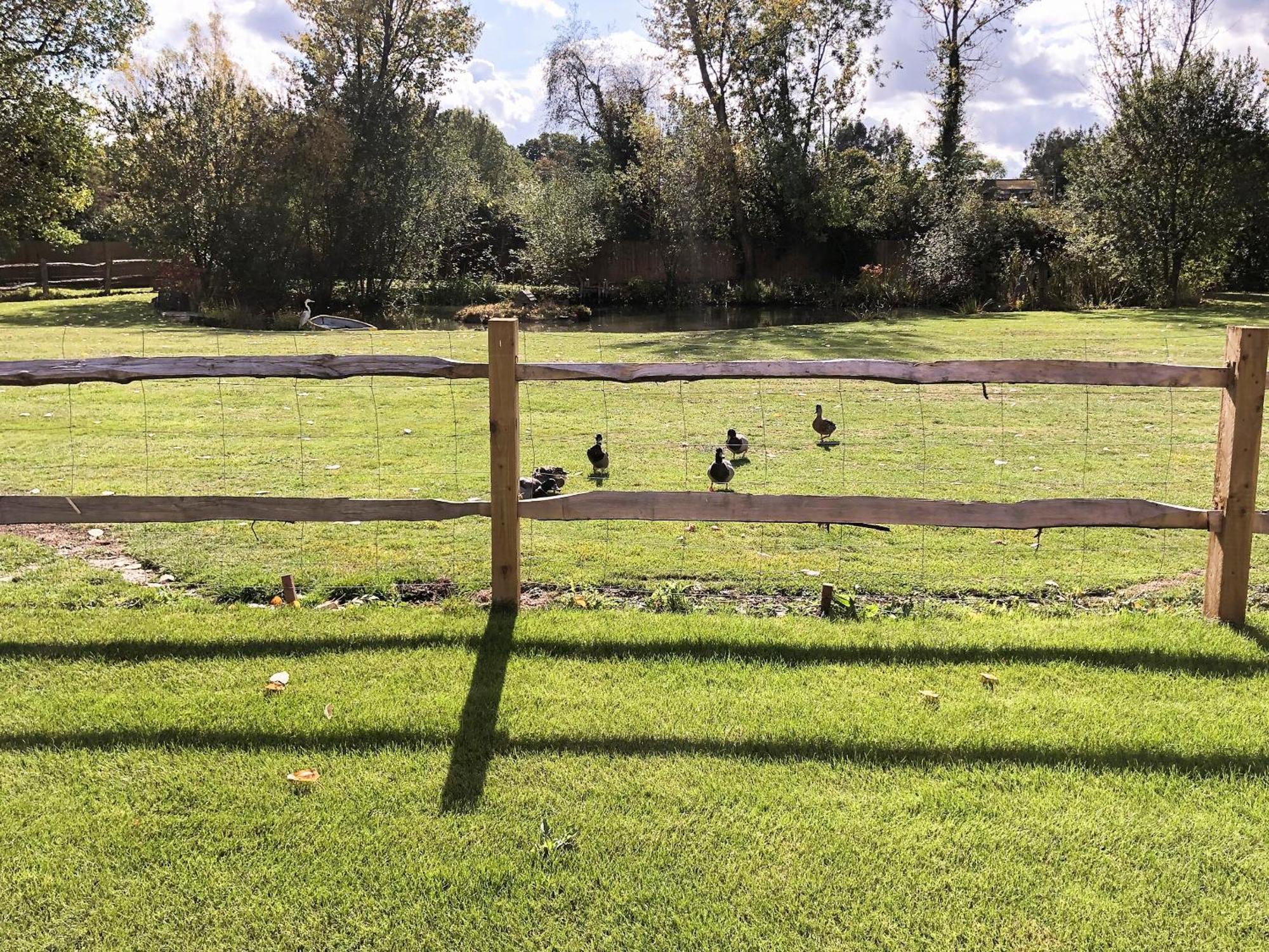 Well Cottage Itchingfield ภายนอก รูปภาพ